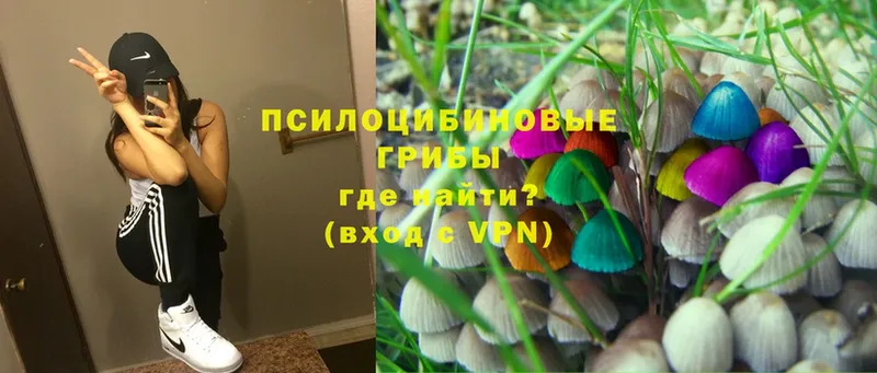 Галлюциногенные грибы Cubensis  Морозовск 